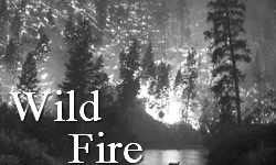 fire